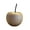 Khaki, variant on Wooden Aromatherapy Diffuser Wood Christmas Fruit Shape Ornament Decorative Essential Oil Diffuser Gift for Aromatherapy Enthusiasts