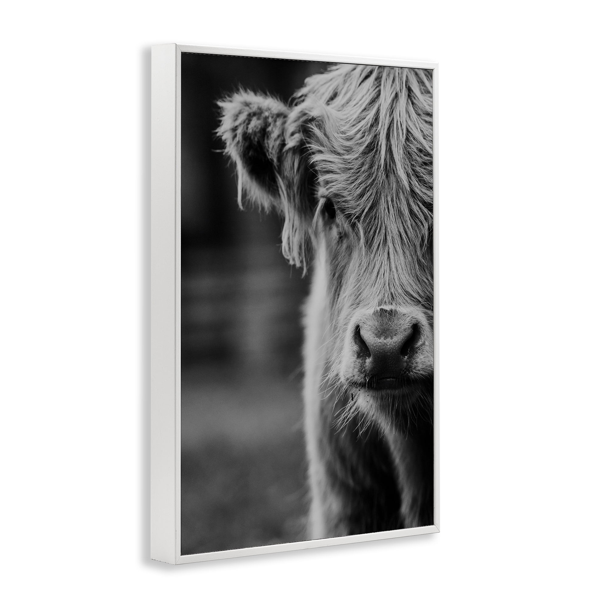 Baby Cow Face White Framed Giclee Art, design by Amy Carroll
