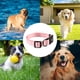 thumbnail image 5 of Collar para perro impermeable, nailon recubierto de secado rápido e inodoro para facilitar la limpieza en la playa y la natación., 5 of 5