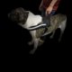 thumbnail image 5 of Arnés de correa de pecho para perro grande, collar para caminar para mascotas XL negro Sunnimix  none, 5 of 8