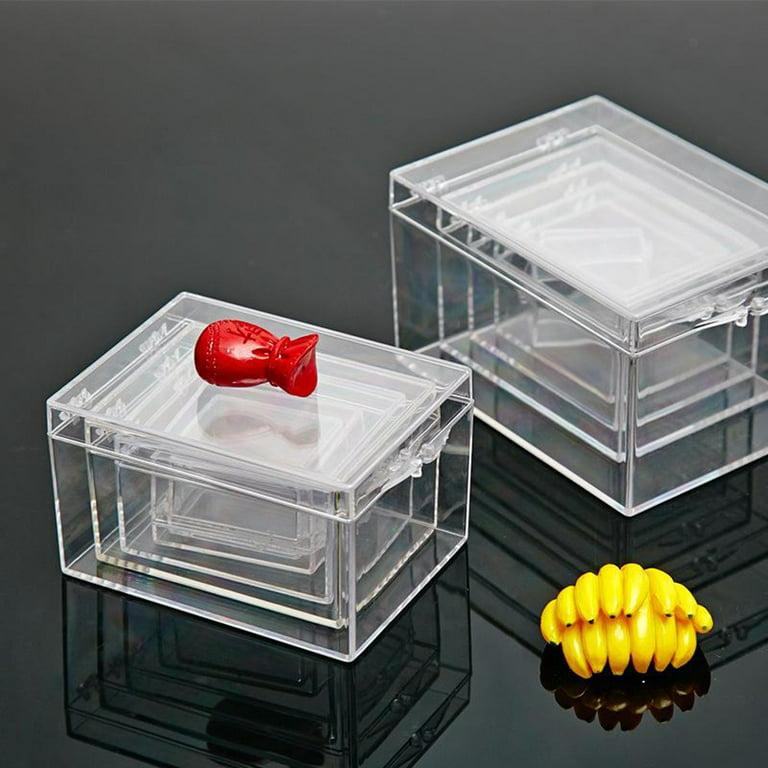Plastic Storage Boxes, Small Clear Box with Grey Lid 