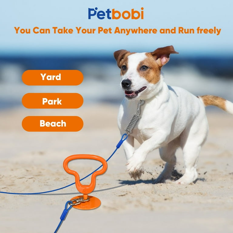 Beach stake for dogs sales