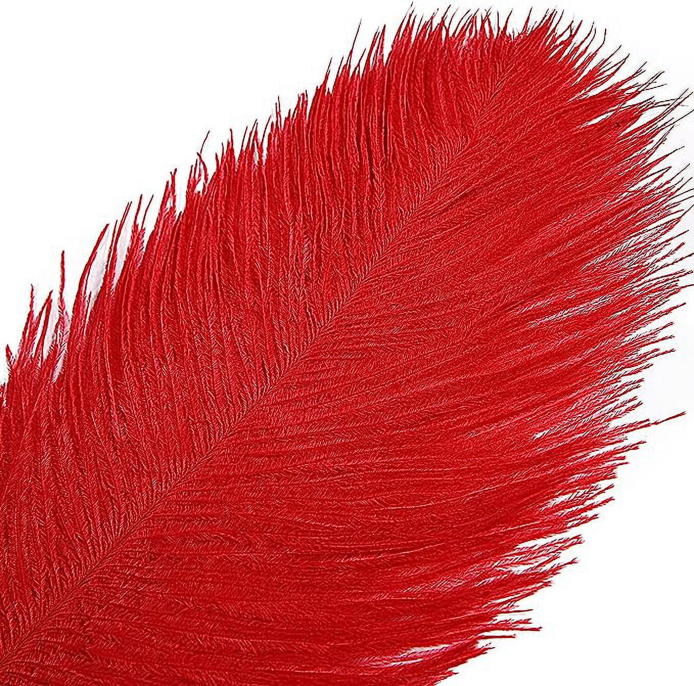 Nvzi 12pcs Red Ostrich Feathers Natural Bulk 16-18Inch 40cm-45cm for Wedding Party Centerpieces Easter Gatsby and Home Decorate Ostrich Feathers