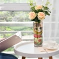 thumbnail image 6 of Plastic Vase 11.8 x 3.9 Inch Vase Transparent Non-Breakable Plastic Ornamental Culture Bottle Storage Jar Modern Family Wedding Decoration Teacup Orange Kitten, 6 of 6