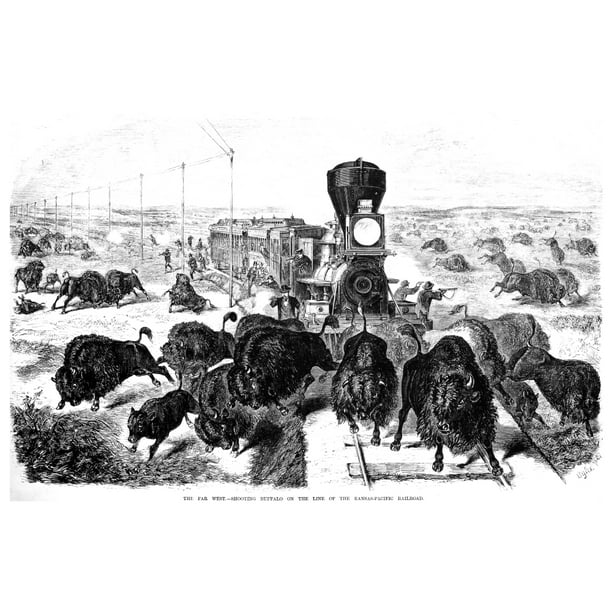West: Shooting Buffalo. /Nthe Far West: Shooting Buffalo On The Of The Kansas-Pacific Railroad. Wood Engraving, American, 1871. Poster - Walmart.com