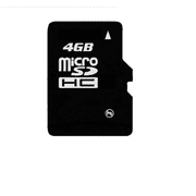 MicroSD Card (4GB)