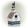 thumbnail image 3 of Alpine Corporation 9" x 18" Patriotic Rooster Vane Top Metal Birdhouse, White/Blue, 3 of 13