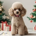 thumbnail image 4 of 2 PCS Christmas Cat Collar with Bow Tie and Bell Breakaway Cute Christmas Adjustable Cat Bow Tie Collar for Kitten Puppy, 4 of 6