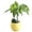 01-Yellow, variant on FNGZ Flower Pots Mini Colourful Round Plastic Plant Flower Pots Home Office Decor Planter Gardening Supplies Blue