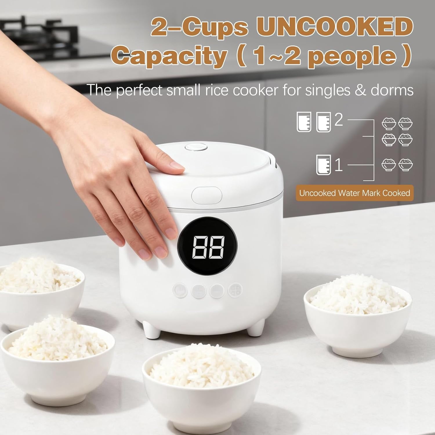 Rice Cooker with Timer for 1-2 People, 2-Cup Uncooked Capacity, 6 Modes for Rice & Oatmeal, Nonstick Pot