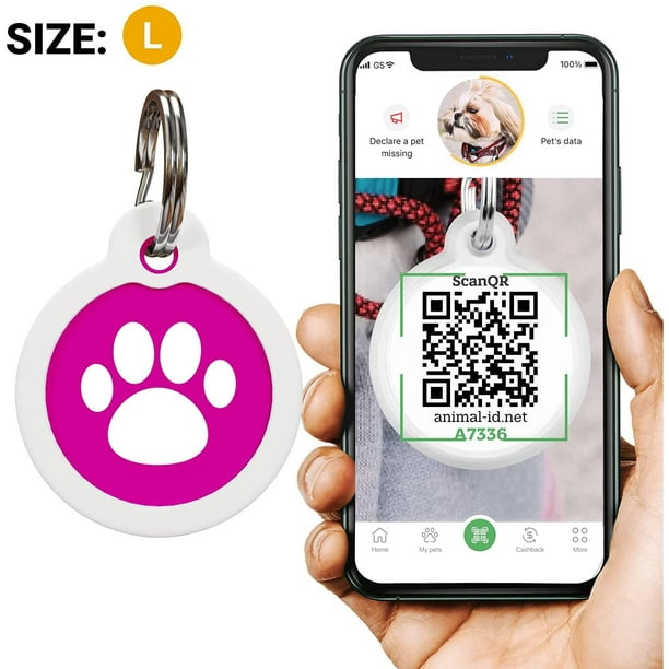 Small pet tags for best sale cats