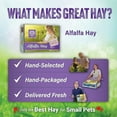thumbnail image 6 of Small Pet Select Alfalfa Hay Pet Food, 2 lb., 6 of 6