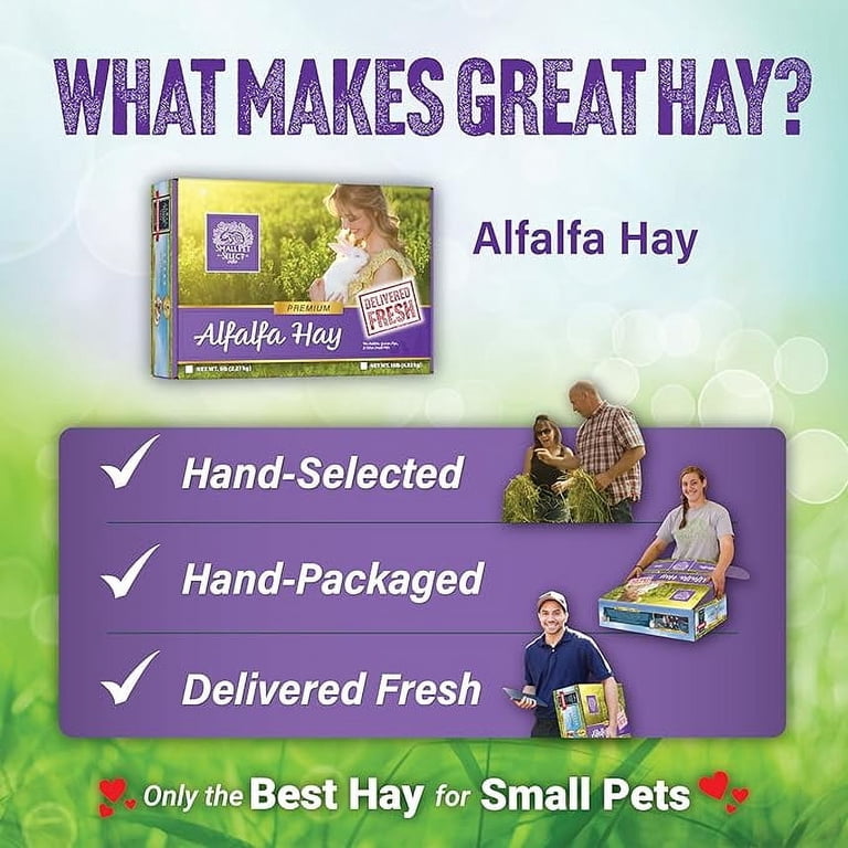 Small Pet Select Alfalfa Hay, 2 Lb. photo 6