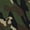 1-Camouflage3057, variant on Toddler Boys Camo Short Sleeve T-Shirt Shorts Set Sports Outfits, Sizes 1-14