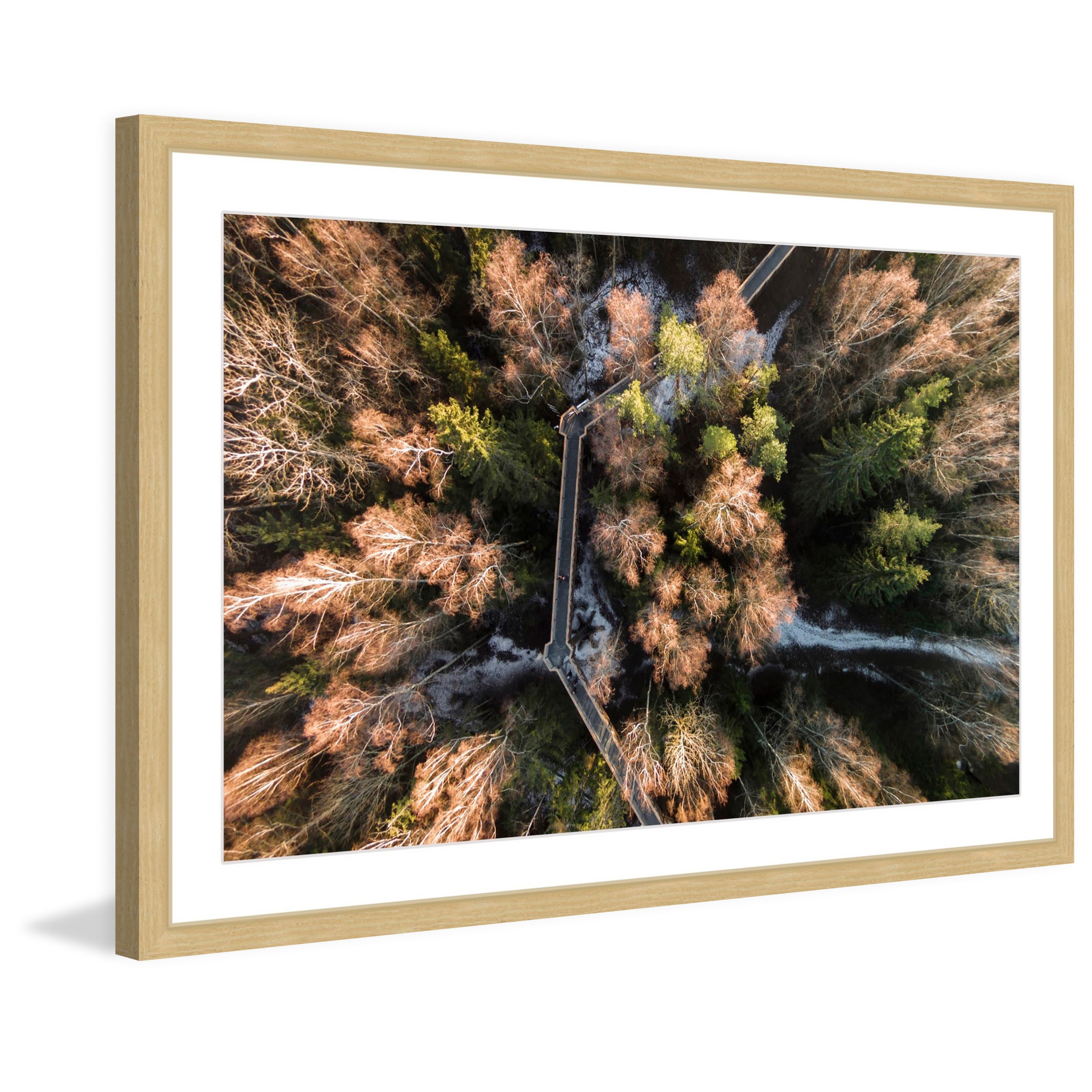 Marmont Hill "Walkway Through Trees" by Karolis Janulis Framed Painting Print