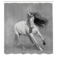 thumbnail image 2 of Ambesonne Gray Shower Curtain, Photo of Horse on Sand Print, 69"Wx75"L, Pale Eggshell White and Umber, 2 of 4