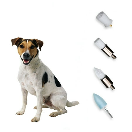

4pcs Brush Heads Replacement Brush heads For Pet Teeth Cleaner Polisher