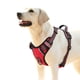 thumbnail image 1 of Arnés para perros HEELE, chaleco ajustable para exteriores, sin tirones, rojo, XL, 1 of 6