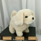 thumbnail image 1 of Juguetes para piscina, juguetes para bebés, juguetes para niños pequeños. Cachorro de juguete de simulación que puede caminar. Perro labrador de juguete infantil que puede llamar perro de juguete., 1 of 2
