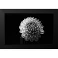 thumbnail image 2 of Gronkjar, Lotte 18x13 Black Modern Framed Museum Art Print Titled - Dahlia, 2 of 5