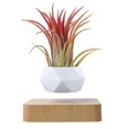 thumbnail image 5 of Maceta de bonsái de aire levitante, maceteros de flores de rotación, maceta flotante de suspensión de levitación magnética, decoración de escritorio de plantas en macetas en dos piezas, 5 of 5