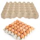 thumbnail image 3 of unbranded 5Ud Bandejas Para Huevos De Pulpa Natural Reutilizable Con Apilable Para Refrigerador, 3 of 7