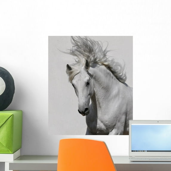 White Horse Wall Mural by Wallmonkeys Peel and Stick Graphic (18 in H x 15 in W) WM144693