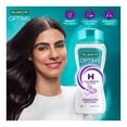 thumbnail image 2 of Shampoo Palmolive Optims Hydrate Fórmula con Ácido Hialurónico 680 ml, 2 of 4