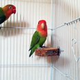 thumbnail image 3 of Plataforma de madera de manzano para loros, soporte para loros, juguete de madera maciza para loros, columpio para pájaros, suministros para loros, 3 of 5