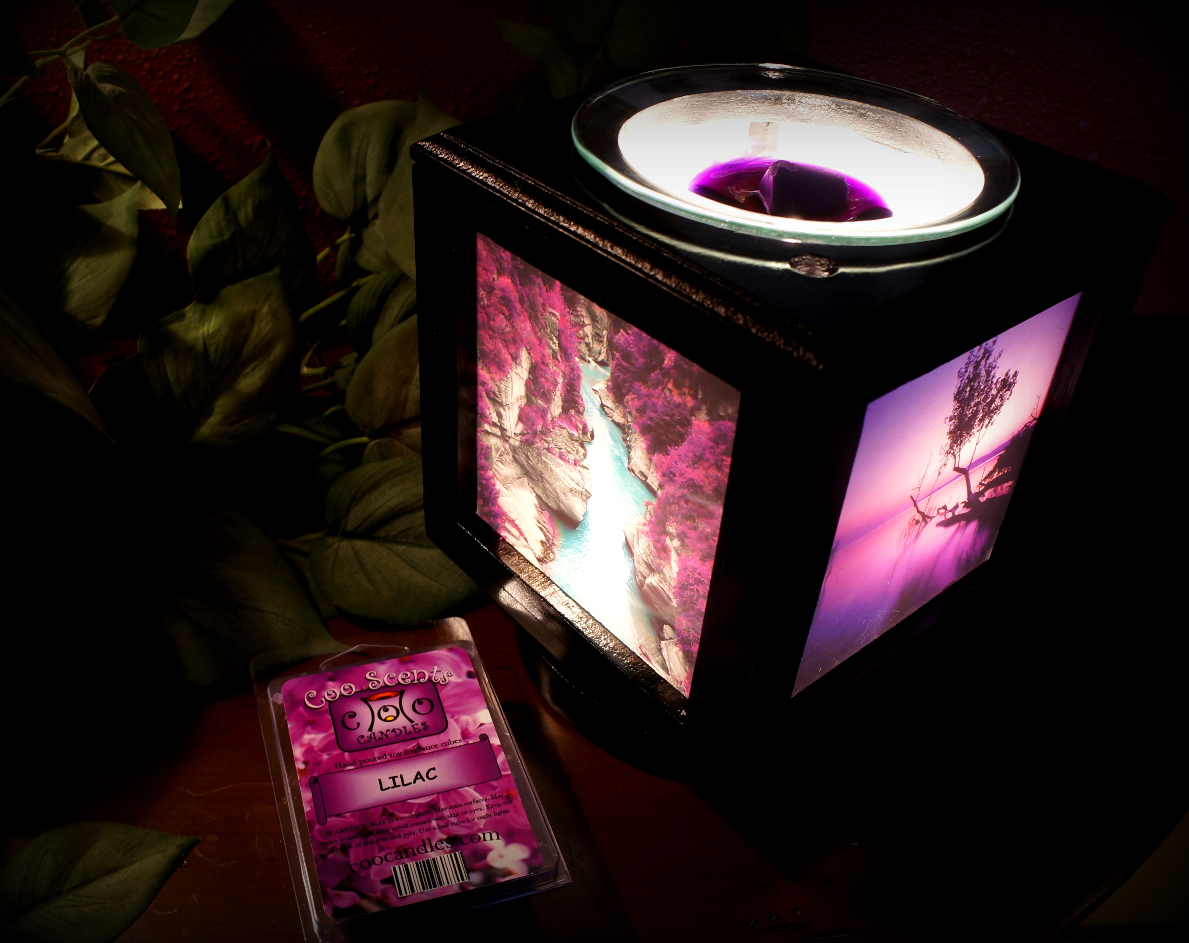Wax Melts - Memory Box Candle Co.