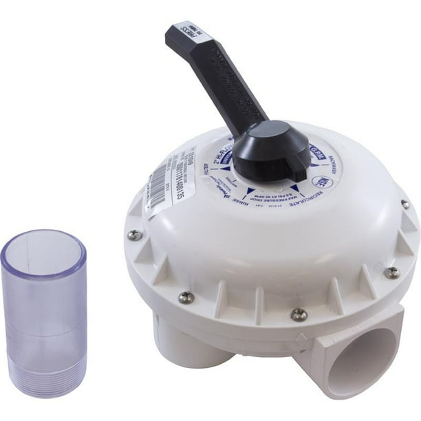 Pentair 273207 Multiport Valve Manual