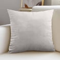 thumbnail image 4 of Cinvoph Velvet Throw Pillow Soft Solid Velvet Decorative Pillow for Sofa Chair Bed Waist Back Support Home Decor 18", 4 of 7