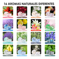 thumbnail image 2 of Velas Aromáticas Decorativas Vela Perfumadas Soya 2.2oz 16 pzs, 2 of 5