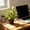 Artificial Plants Under $5 a4, variant on Tusihei Artificial Plants, Faux Variegated Plant in a Pot Plants, Indoor Decorative Plastic Greenery in Black Pot for Farmhouse Home Bathroom Living Room Office Table Shelf