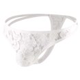 thumbnail image 1 of Men's Lace Flower Embroidery Semi-Transparent Pornographic Sexy G-Strings, 1 of 9