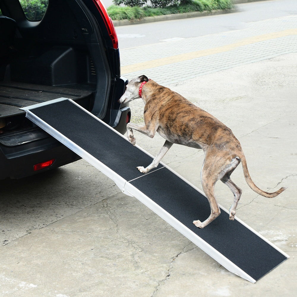 10 Best Lightweight Dog Ramps for Easy Access and Ultimate Comfort in
