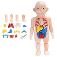 thumbnail image 1 of Casse-Tête 3D Modèle Anatomique Corps Humain Jouet Éducatif Assemblé Outil d'Apprentissage pour Enfants, 1 of 8