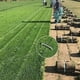 thumbnail image 5 of Estacas de jardín en forma de U de 150 mm, ideales para membranas contra malezas, telas, césped artificial, alfombras y redes galvanizadas (paquete de 50), 5 of 5