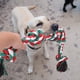 thumbnail image 5 of Cuerda indestructible para perros grandes y fuertes, juguete de cuerda para perros, 90 cm, 5 nudos, cuerda para masticación agresiva, cuerda interactiva para razas de perros medianos y, 5 of 6