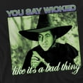 thumbnail image 2 of The Wizard of Oz Wicked Witch Women's T Shirt, Black, 2X-Large, 2 of 4