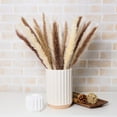 thumbnail image 3 of GRNSHTS 60Pcs Nature Dried Pampas Grass Decor Tall Pompous Grass,White Pampas Grass Vase Flower Arrangement,Dried Flower Bouquet Wedding Home Decorations, 3 of 7