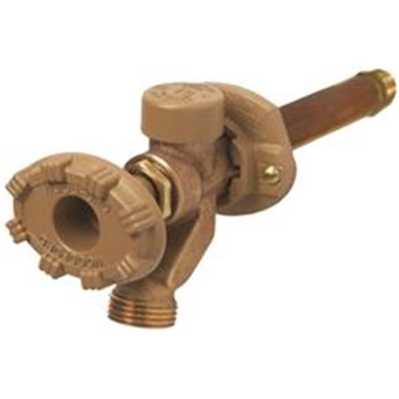 Woodford Manufacturing 12 in. Freezeless No.19 Anti-Siphon Wall Faucet