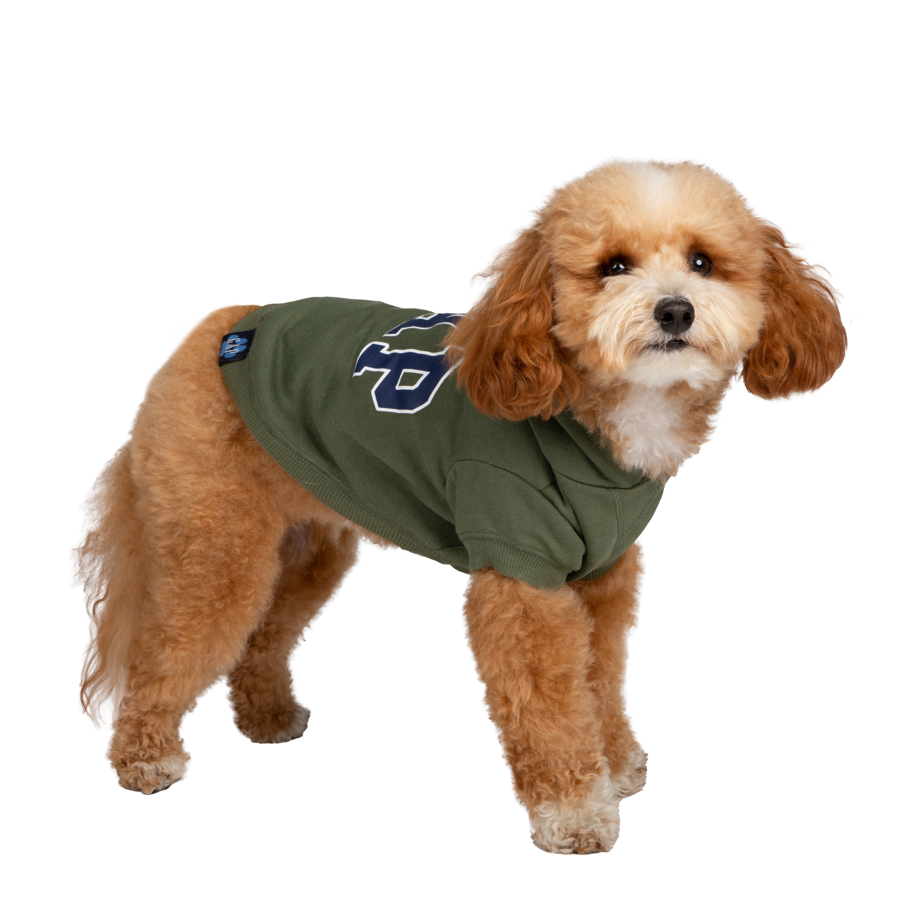 Gap Pet, Dog Clothes, Green Classic Pet Hoodie