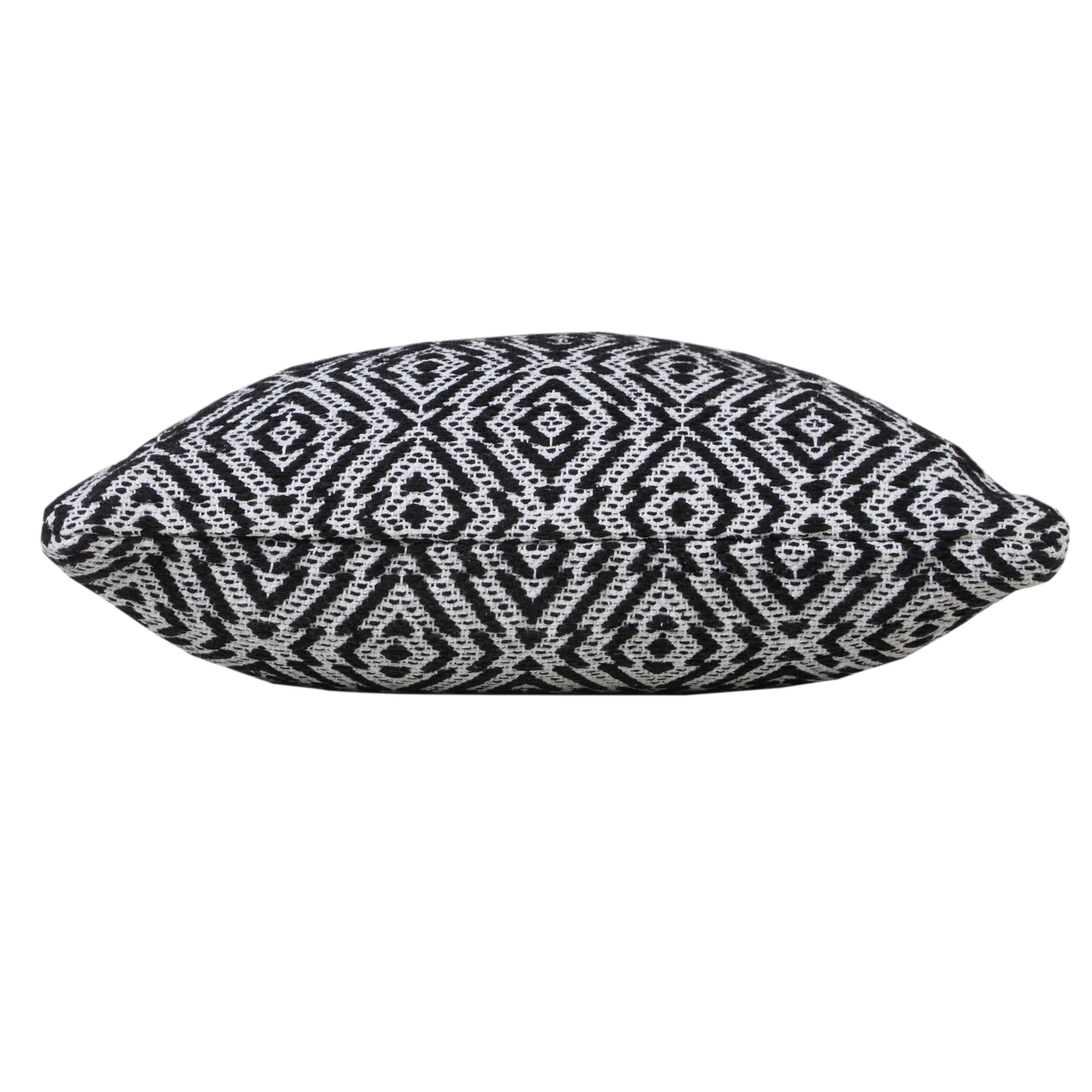 Harlow Hill Hampton 20" x 20" Geometric Cotton Adult Decorative Feather Filled Pillow, Black/White