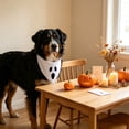 thumbnail image 5 of Halloween Dog Bandanas, Cute Ghost and Pumpkin Design, Halloween Pet Costume Accessories for Dogs and Cats Ghost, 5 of 6