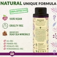 thumbnail image 2 of ecoLove - Natural Sulfate Free Shampoo, Chemical Free, Vegan & Cruelty Free Shampoo for Color Treated Hair, Very Dry & Damaged Hair, Organic Lavender shampoo, No SLS or Parabens, 17.6 oz, 2 of 3