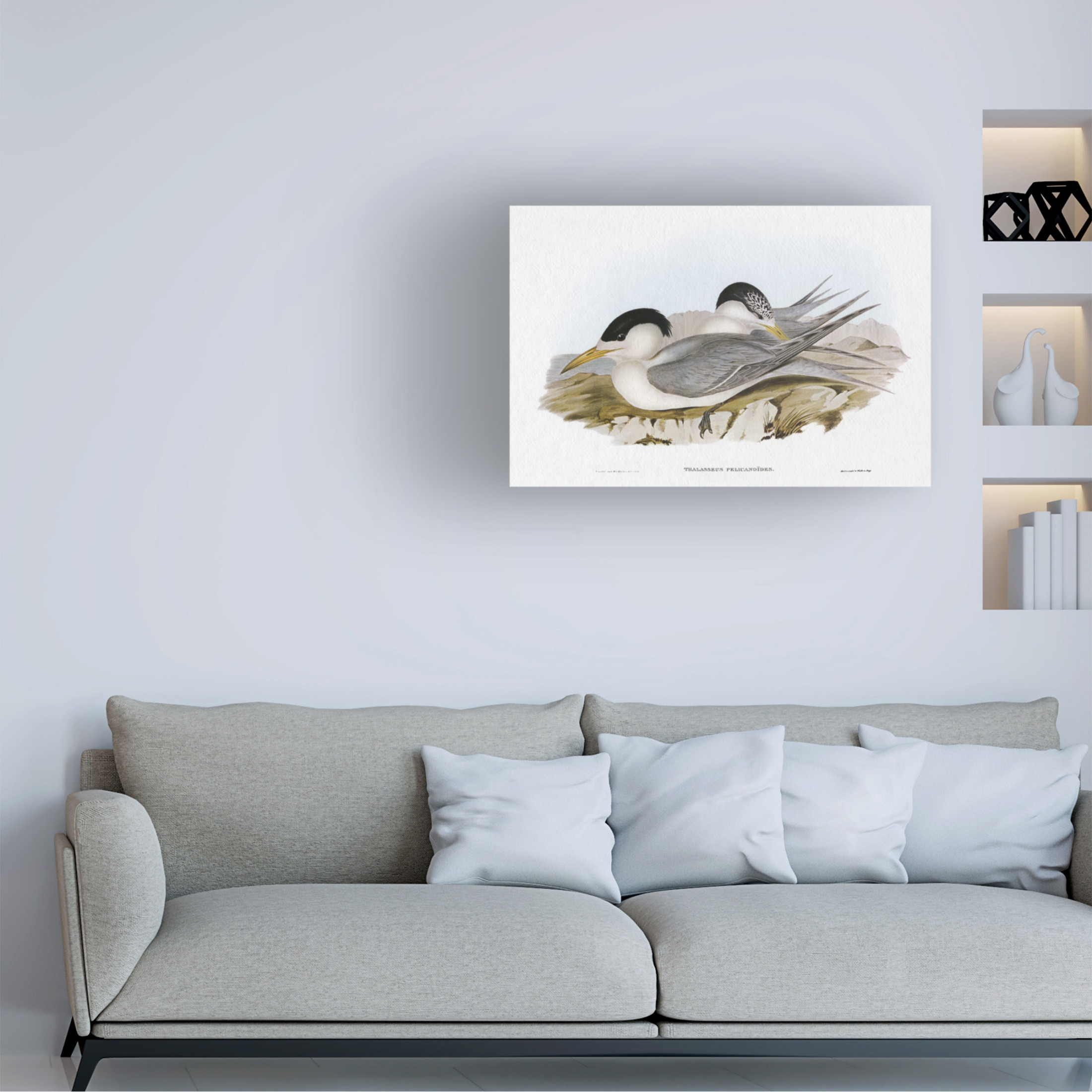 Trademark Fine Art Elizabeth Gould  Seabird Pairing V Canvas Wall Art
