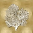 thumbnail image 2 of Kelly, Caroline 20x20 Gold Ornate Wood Framed with Double Matting Museum Art Print Titled - Sea Fan on Gold II, 2 of 4