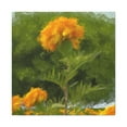 thumbnail image 1 of Marigolds of Realism - Canvas, 1 of 10