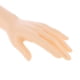thumbnail image 5 of Modelo femenino de la joyería Soledad Maniquí de mano para mujer adulta, 5 of 10